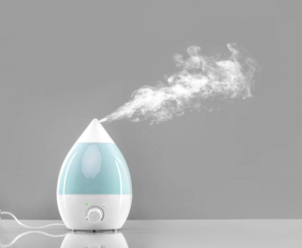 What are the Differences between Air Purifiers and Humidifiers?